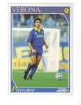 [CSA] FIGURINA CARD SCORE PANINI '92 - VERONA PELLEGRINI