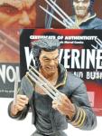 Marvel: X-Men -old Wolverine - Marvel - Busto, Figure