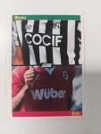 FIGURINA CARD SCORE PANINI '93 - ASCOLI BARI